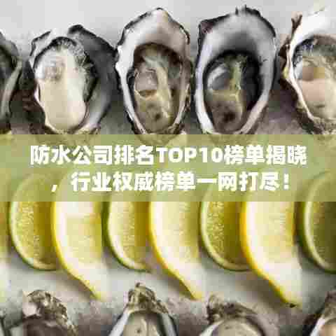 防水公司排名TOP10榜单揭晓，行业权威榜单一网打尽！