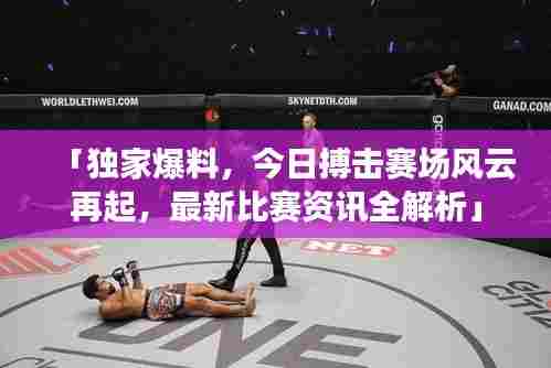 「独家爆料，今日搏击赛场风云再起，最新比赛资讯全解析」