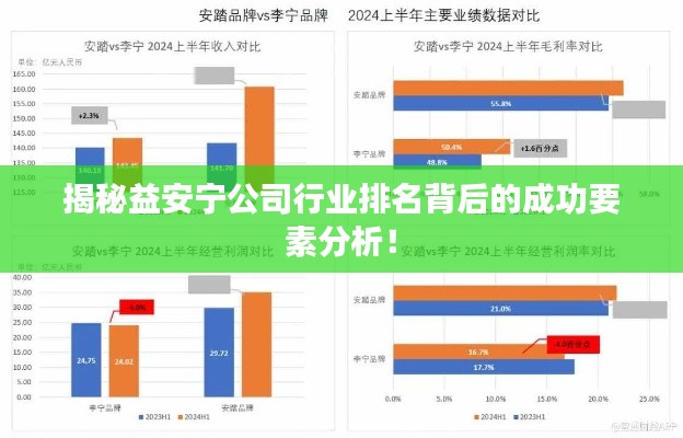 揭秘益安宁公司行业排名背后的成功要素分析！
