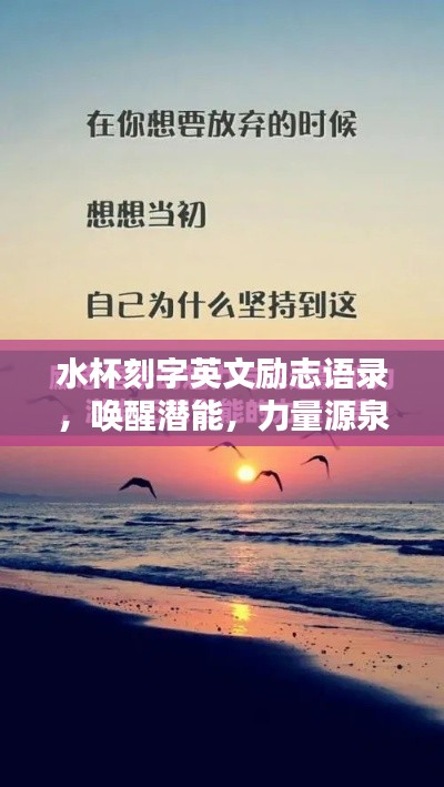水杯刻字英文励志语录，唤醒潜能，力量源泉