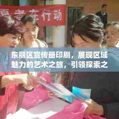 东丽区宣传册印刷，展现区域魅力的艺术之旅，引领探索之旅