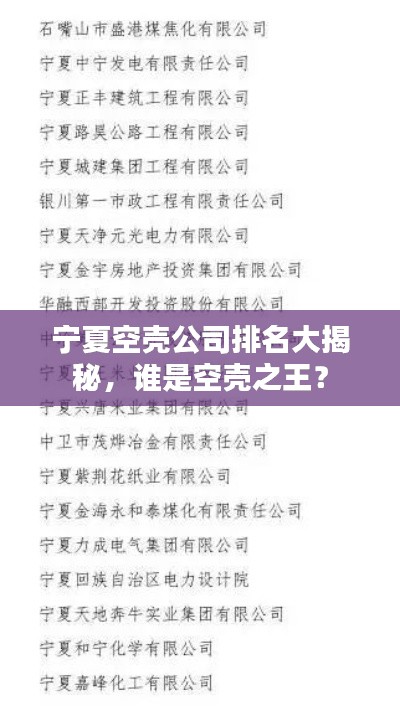 宁夏空壳公司排名大揭秘，谁是空壳之王？
