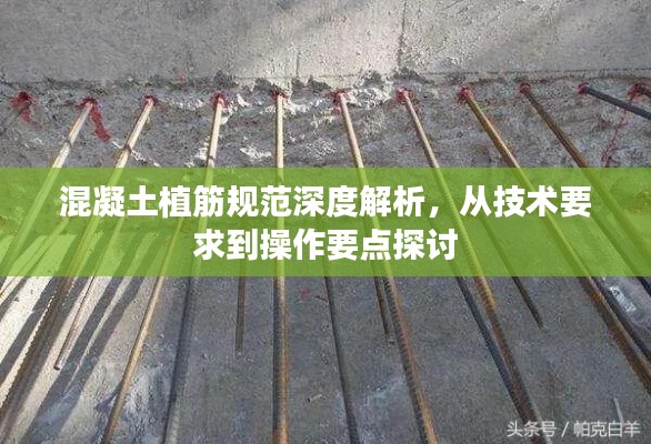 混凝土植筋规范深度解析，从技术要求到操作要点探讨