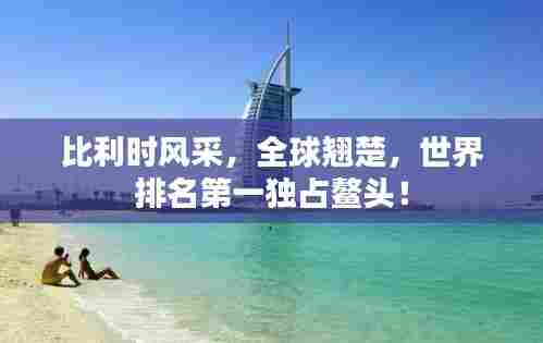 比利时风采，全球翘楚，世界排名第一独占鳌头！