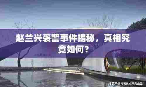 赵兰兴袭警事件揭秘，真相究竟如何？