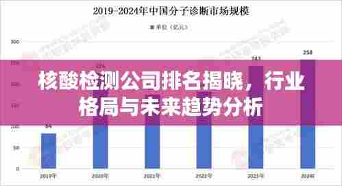 核酸检测公司排名揭晓，行业格局与未来趋势分析