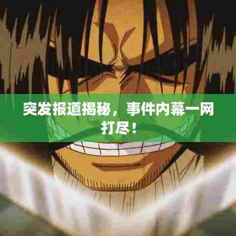 突发报道揭秘，事件内幕一网打尽！