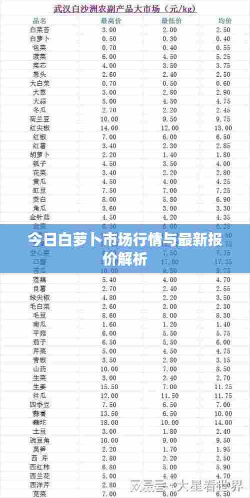 今日白萝卜市场行情与最新报价解析