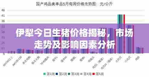 伊犁今日生猪价格揭秘，市场走势及影响因素分析