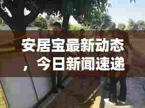 安居宝最新动态，今日新闻速递