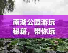 南湖公园游玩秘籍，带你玩转美景盛宴！