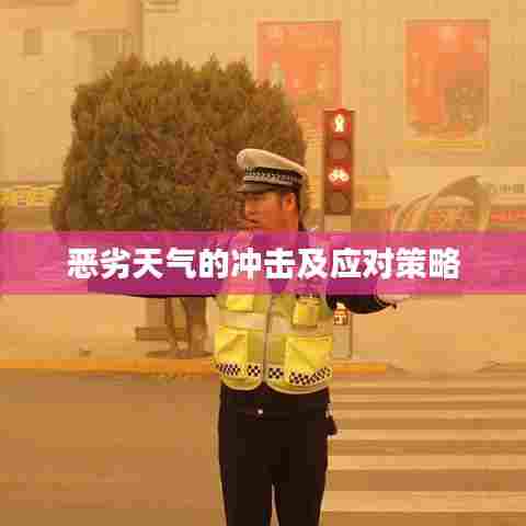 恶劣天气的冲击及应对策略