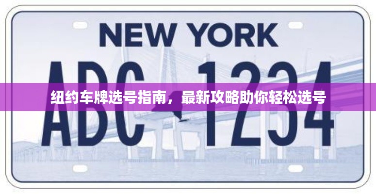 纽约车牌选号指南，最新攻略助你轻松选号