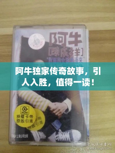 阿牛独家传奇故事，引人入胜，值得一读！