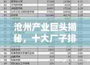 沧州产业巨头揭秘,十大厂子排名榜单!