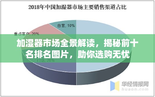 加湿器市场全景解读，揭秘前十名排名图片，助你选购无忧