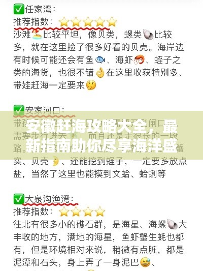 安徽赶海攻略大全，最新指南助你尽享海洋盛宴！