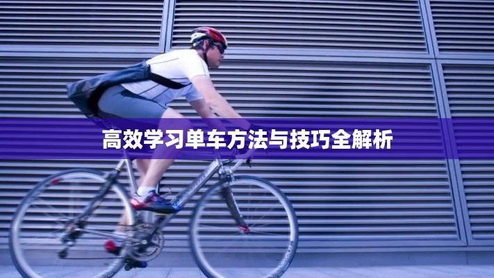 高效学习单车方法与技巧全解析
