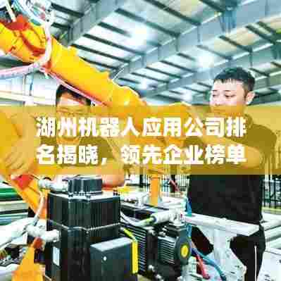 湖州机器人应用公司排名揭晓，领先企业榜单揭秘！