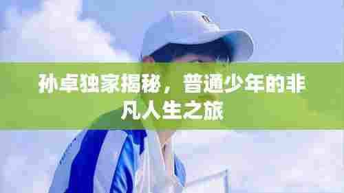 孙卓独家揭秘，普通少年的非凡人生之旅