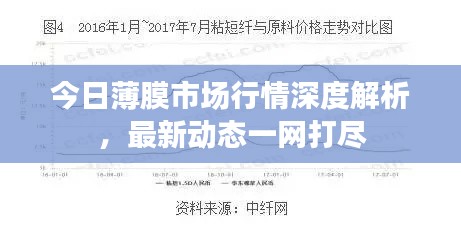 今日薄膜市场行情深度解析，最新动态一网打尽
