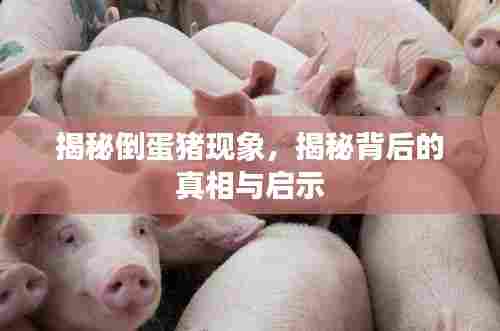 飞扬拨扈 第7页