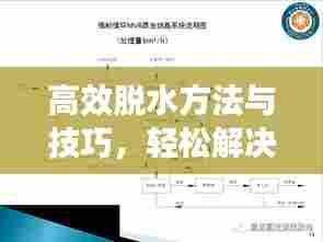 高效脱水方法与技巧，轻松解决水分问题