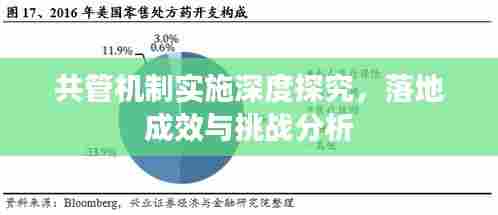 共管机制实施深度探究,落地成效与挑战分析