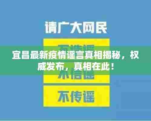 宜昌最新疫情谣言真相揭秘，权威发布，真相在此！