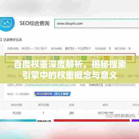 百度权重深度解析,揭秘搜索引擎中的权重概念与意义