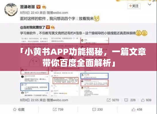 「小黄书APP功能揭秘，一篇文章带你百度全面解析」