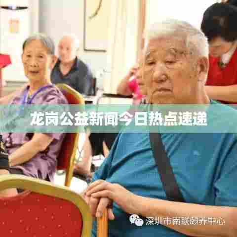 龙岗公益新闻今日热点速递