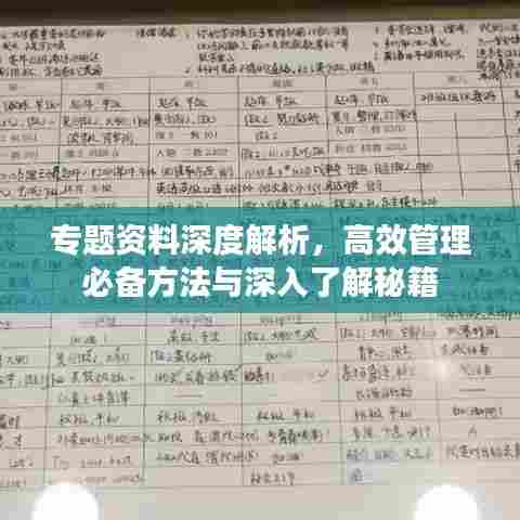 专题资料深度解析，高效管理必备方法与深入了解秘籍