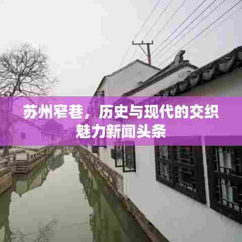 苏州窄巷,历史与现代的交织魅力新闻头条