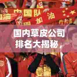 国内草皮公司排名大揭秘，权威榜单，不容错过！