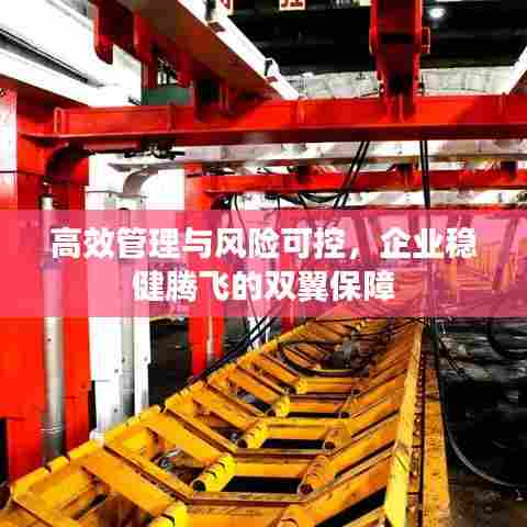 高效管理与风险可控，企业稳健腾飞的双翼保障
