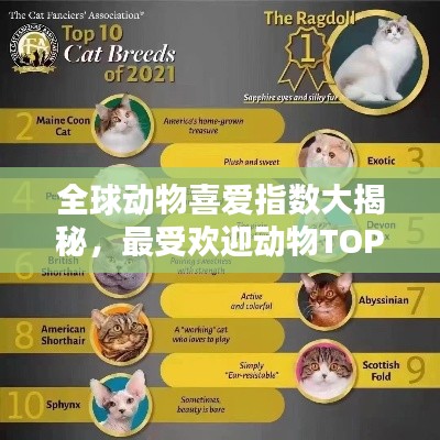 全球动物喜爱指数大揭秘，最受欢迎动物TOP排名！