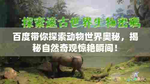 百度带你探索动物世界奥秘，揭秘自然奇观惊艳瞬间！