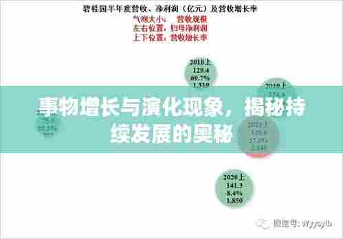 事物增长与演化现象，揭秘持续发展的奥秘