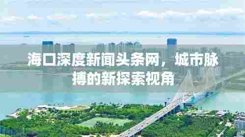 海口深度新闻头条网，城市脉搏的新探索视角