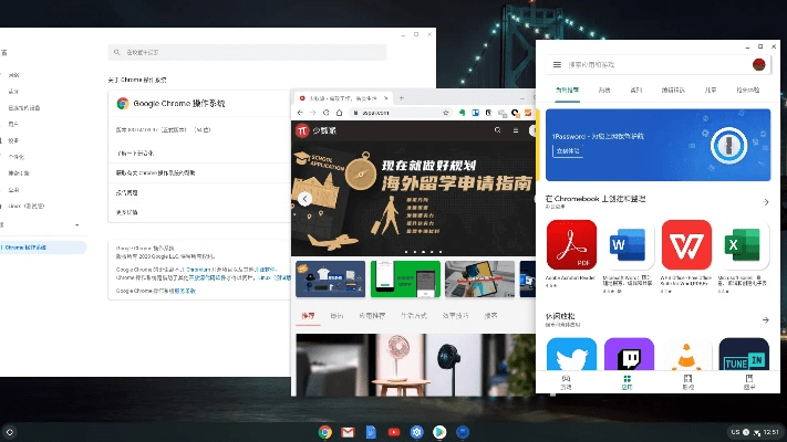放了那只猪官方下载,高效实施策略设计 ChromeOS_v2.344