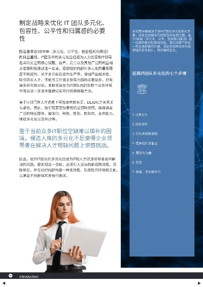 i土豆官方下载,多元化方案执行策略 高级版_v3.791