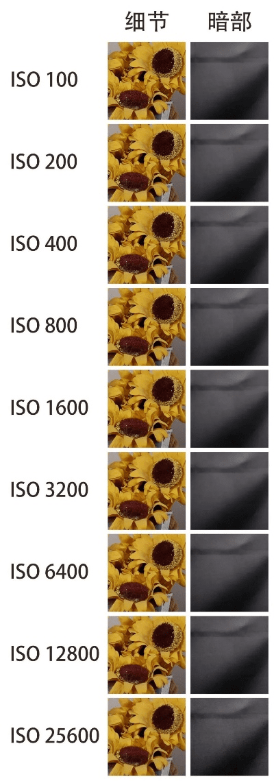 专业级工具，索尼Z3版本高效实施方法分析_5DM_v7.489