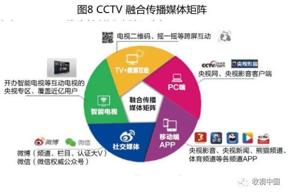 央视新闻版本选择指南，为不同用户级别推荐最合适的软件