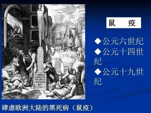 鼠疫 版本,数据解析计划导向&amp;视频版_v4.434