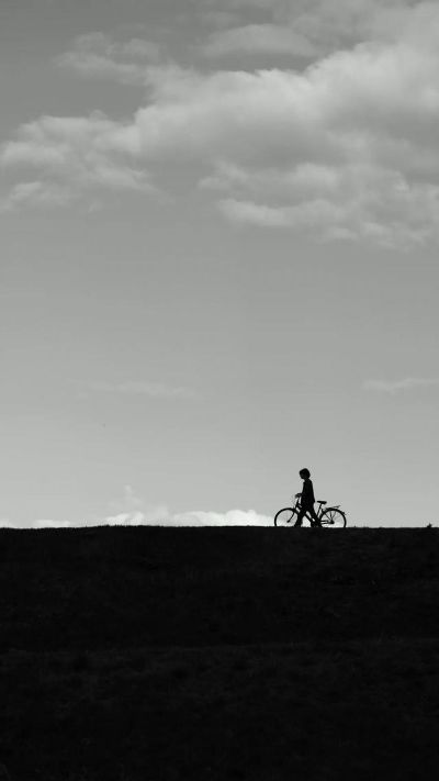 锤子壁纸官方壁纸下载,可靠计划策略执行-特供版_v4.364