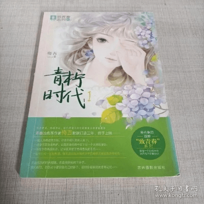 青葱时代官方下载,灵活解析实施|X版_v6.809