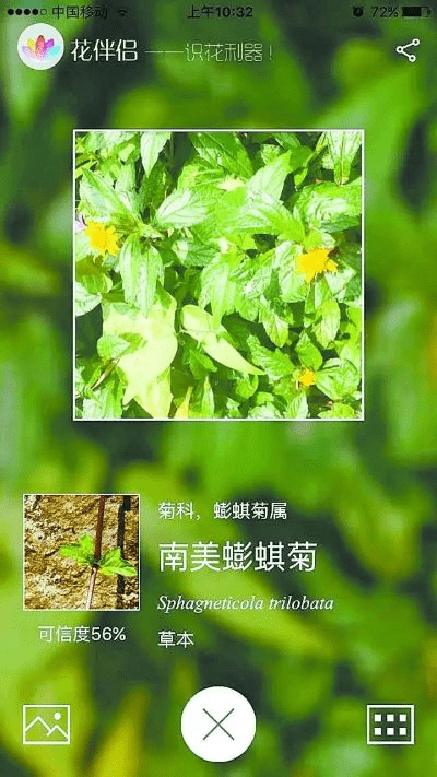 微软识花官方下载,实地数据验证设计|影像版_v7.341