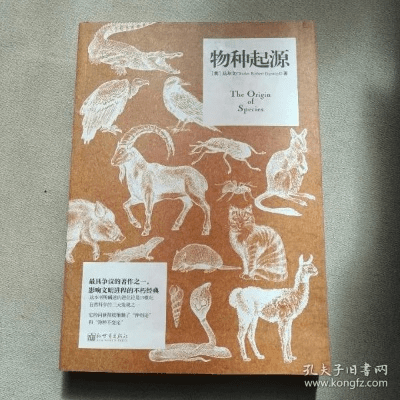 物种起源 版本,数据设计驱动解析-pro_v5.710