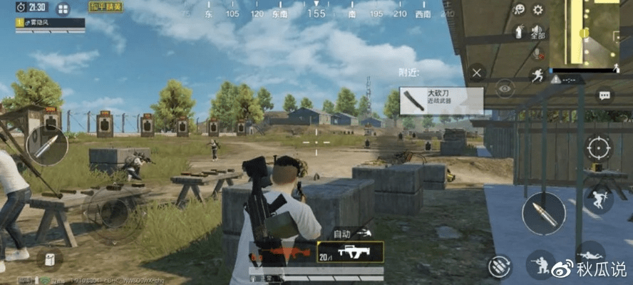 作为一位公正的产品分析师，我将对吃鸡版本更新，动态调整策略执行_精英版_v6.515和吃鸡版本更新英语这两款同类型软件进行全面对比。以下是详细的对比分析